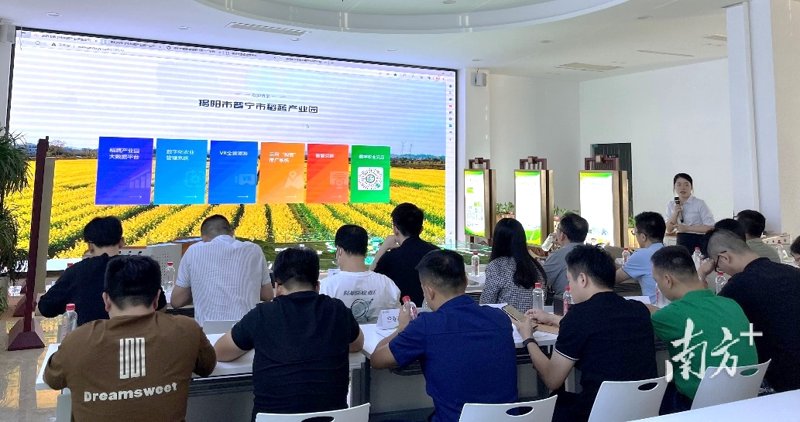 普宁网站建设:如何在众多网站中脱颖而出?